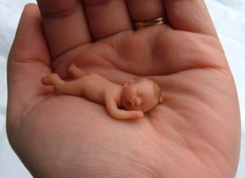 Baby Biscuits Baby Biscuits
