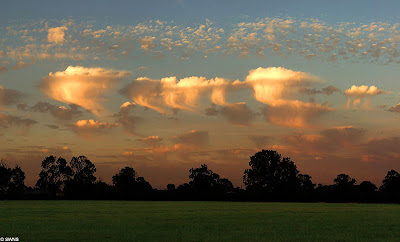 Unusual Clouds Unusual clouds known as Altocumulus Castellanus