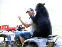 A Pet Bear A Pet Bear
