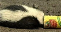 Stuck Skunk Stuck Skunk