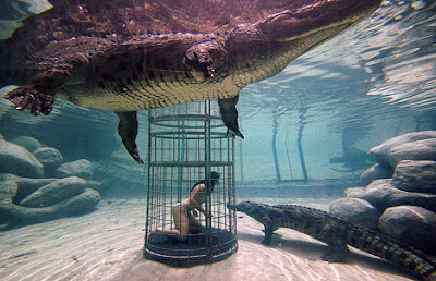 Swimming with killer crocodiles Swimming with killer crocodiles