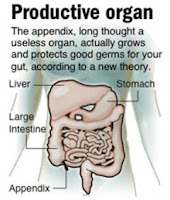 Appendix Appendix