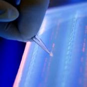 Lab Lab