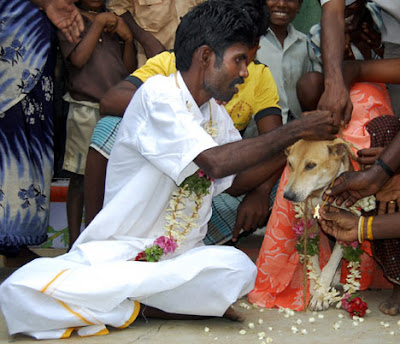 Selva Kumar and his 'wife' Selva Kumar and his 'wife'