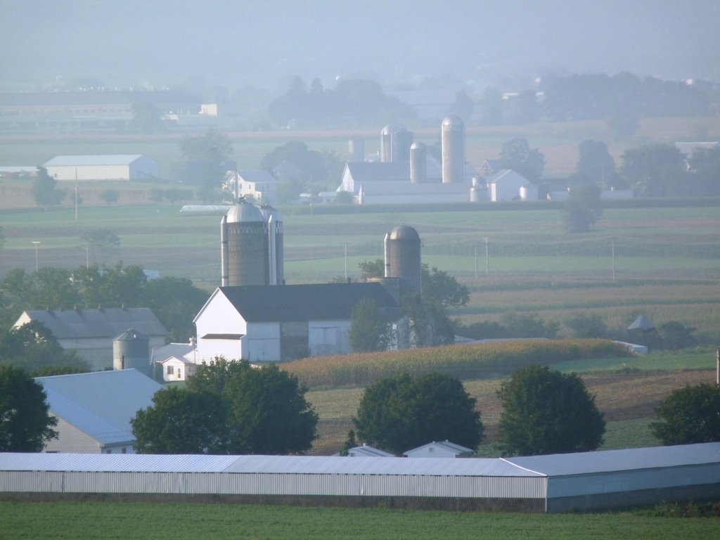 [Earlymorningmist--Amishcountry.jpg]