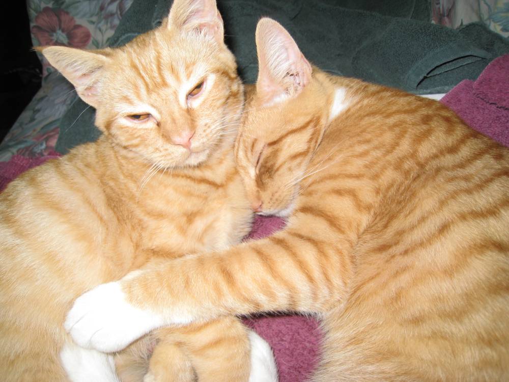 [Jackcharmingchardonnay.jpg]