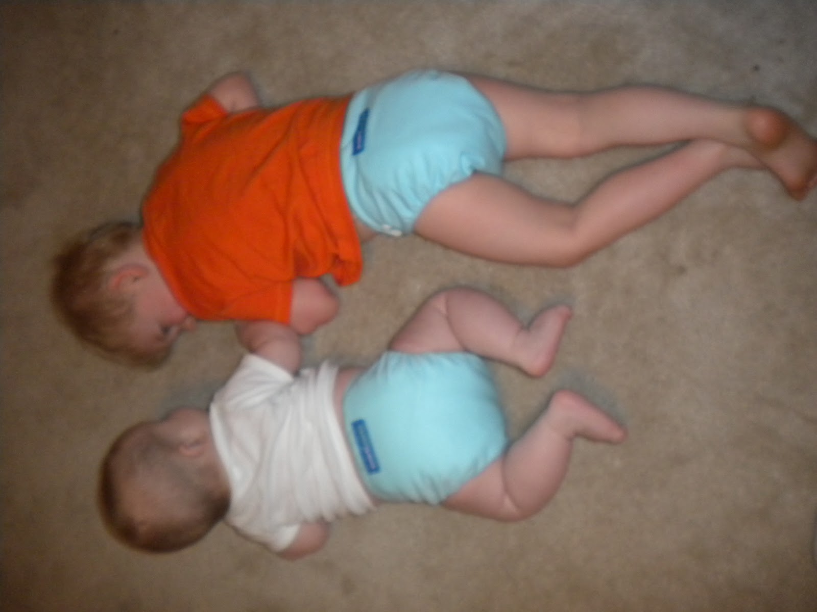 Adventure's of a Crispy Mama What Do You Do With the Poop?