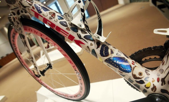 butterfly madone bike