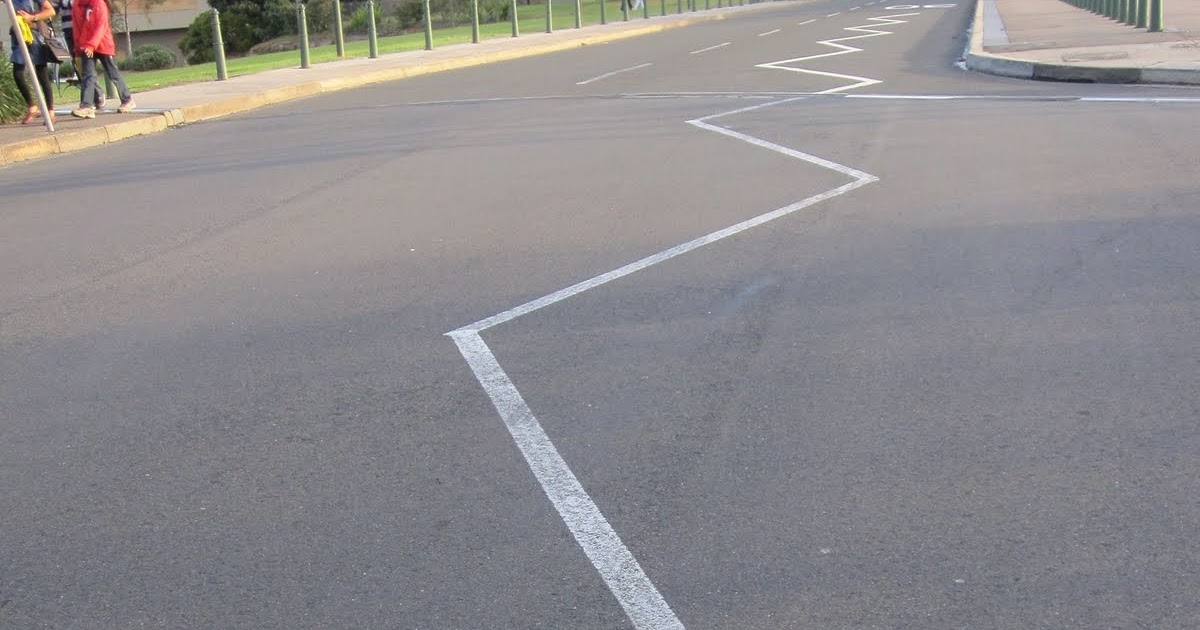 Lost in Translation An American puggle living in Bondi Zig zag