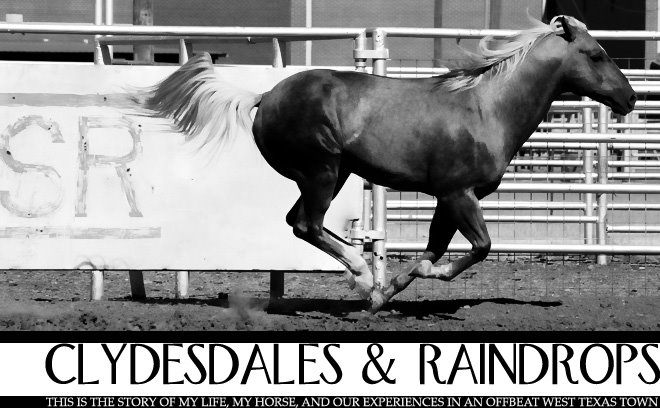 Clydesdales & Raindrops