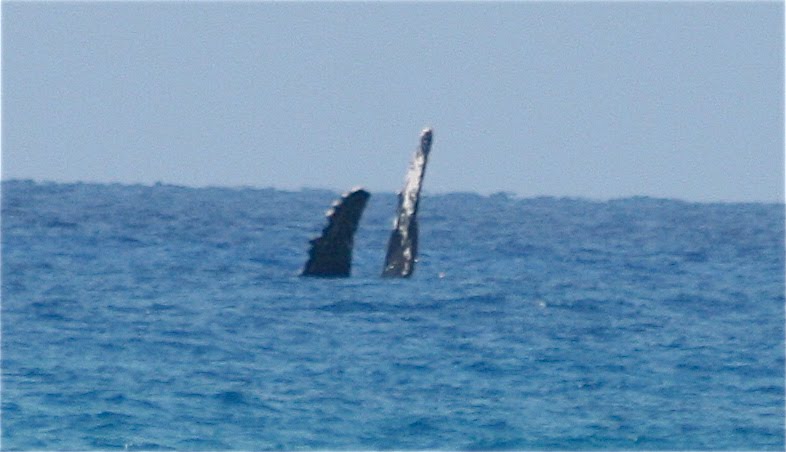 [IMG_5448.JPG]