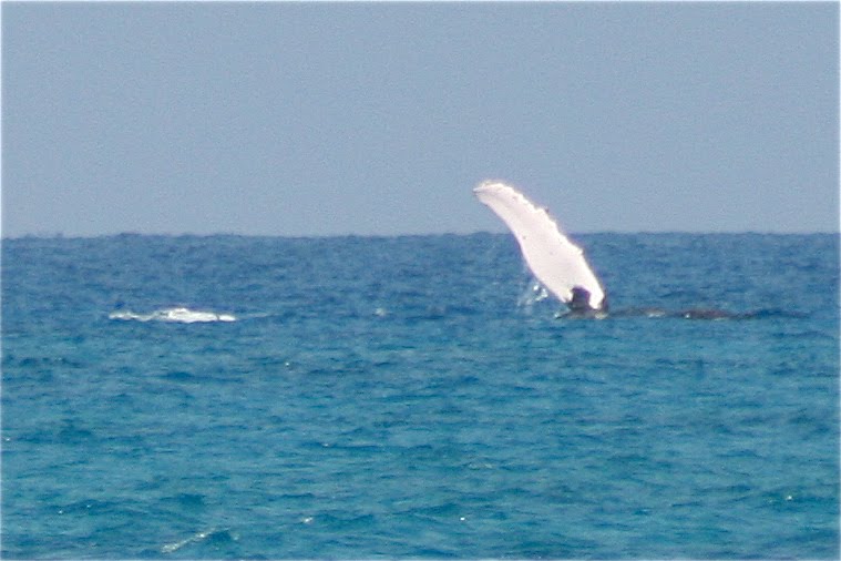 [IMG_5415.JPG]
