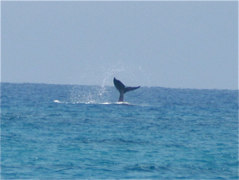 [IMG_5408.JPG]