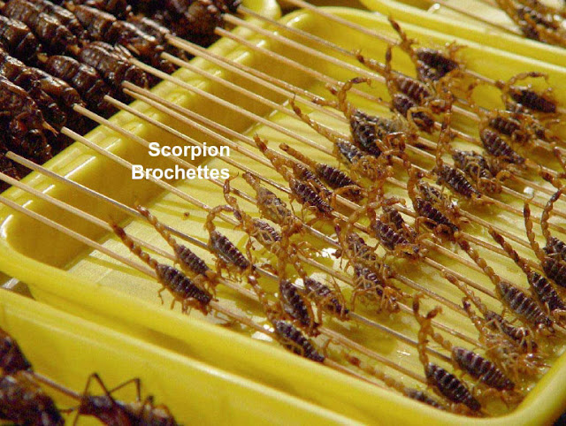 FOOD AT THE OLYMPICS
