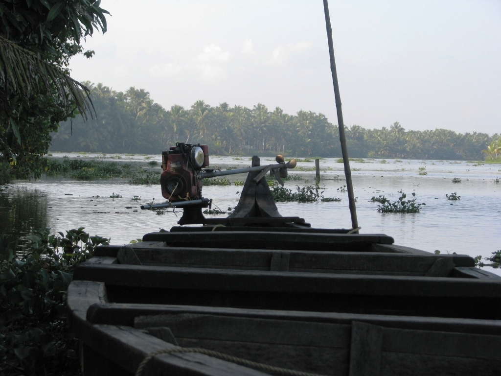 [IMG_1039.jpg]
