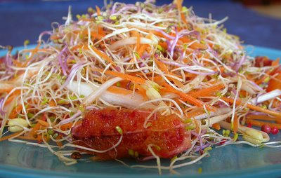Receta ensalada con germinados ensalada germinados
