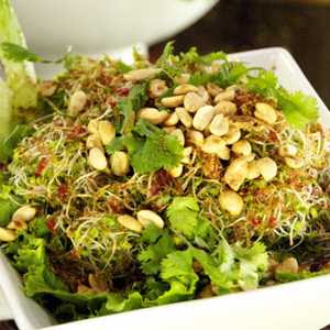 Receta de germinados con mani germinados con mani