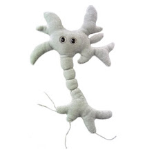 Una Neurona felpudita y suavecita.