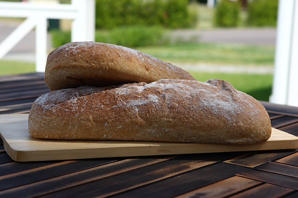 nyttigaste brödet nyttigaste brödet