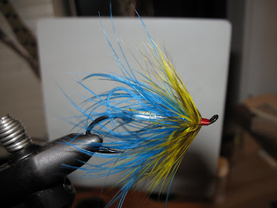 Muskegon River Fishing Guides for Steelhead, Salmon, and Trout