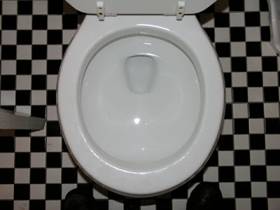 leaky toilet flapper