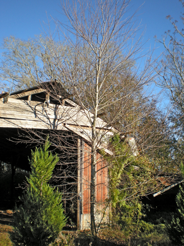 [01_02_easementOldBarn18.jpg]