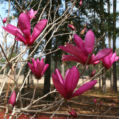[02_17_photo2.jpg]