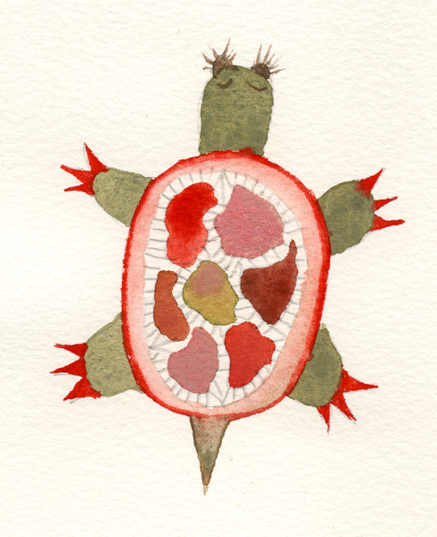 [02_20_2turtle.png]