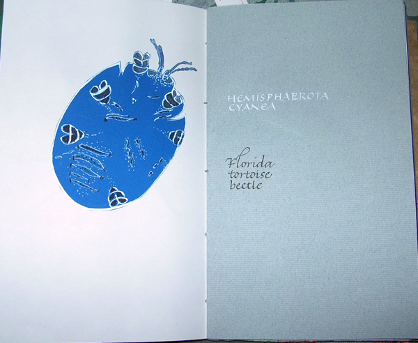 [2007-08-14+book-h.jpg]