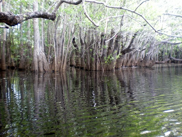 [04_27_reflections.jpg]