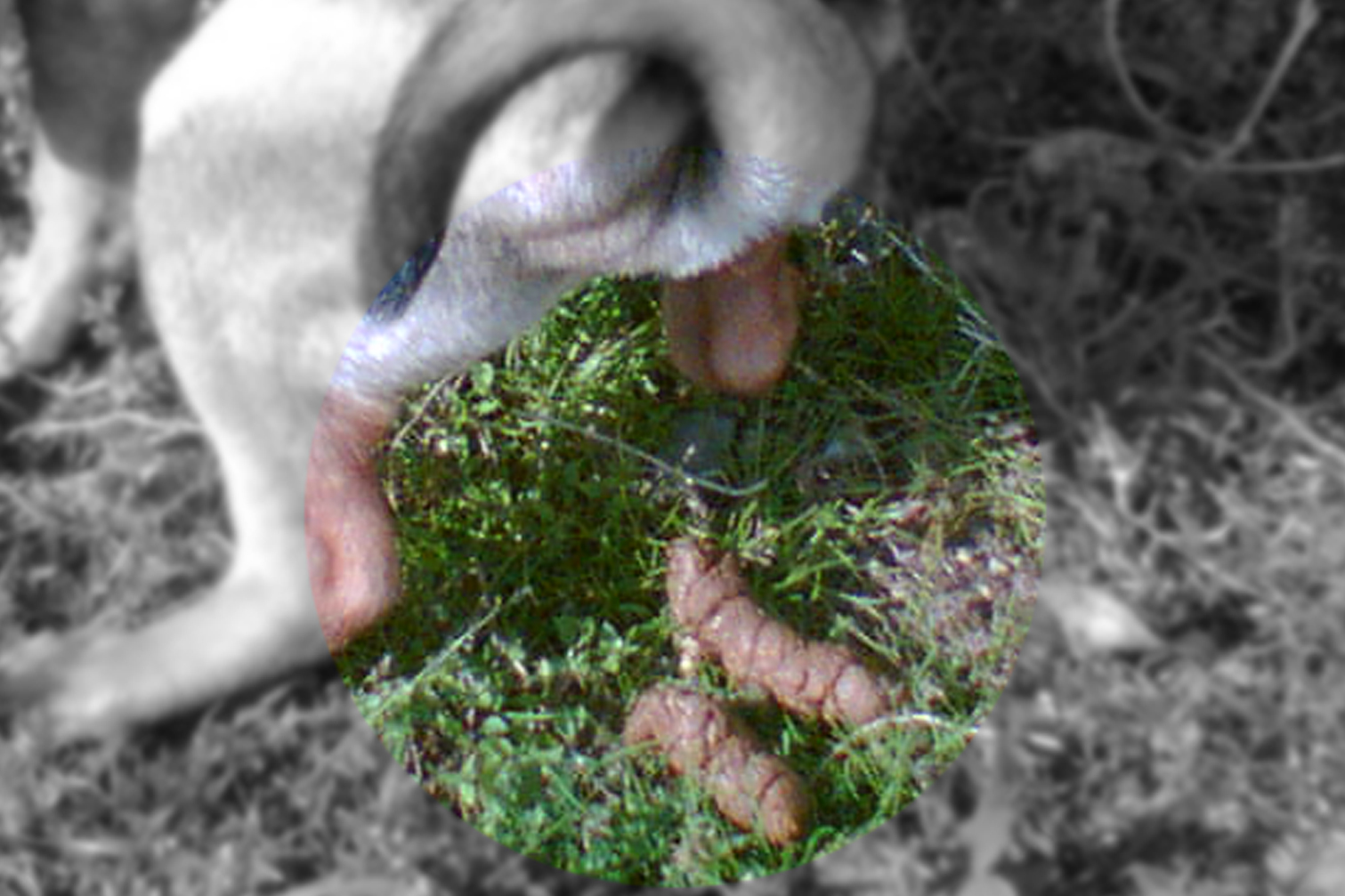 [Img009b.jpg]