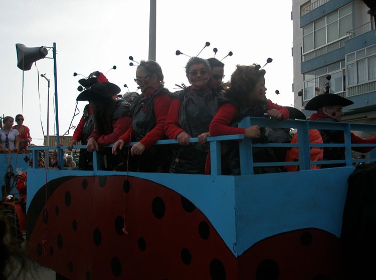 [P2240496.JPG]