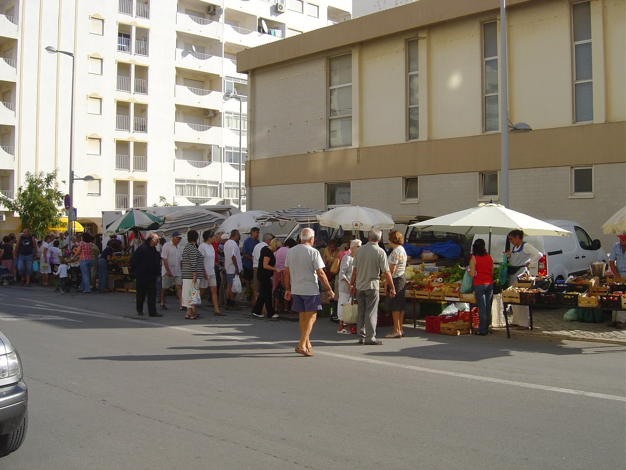 [mercado.JPG]