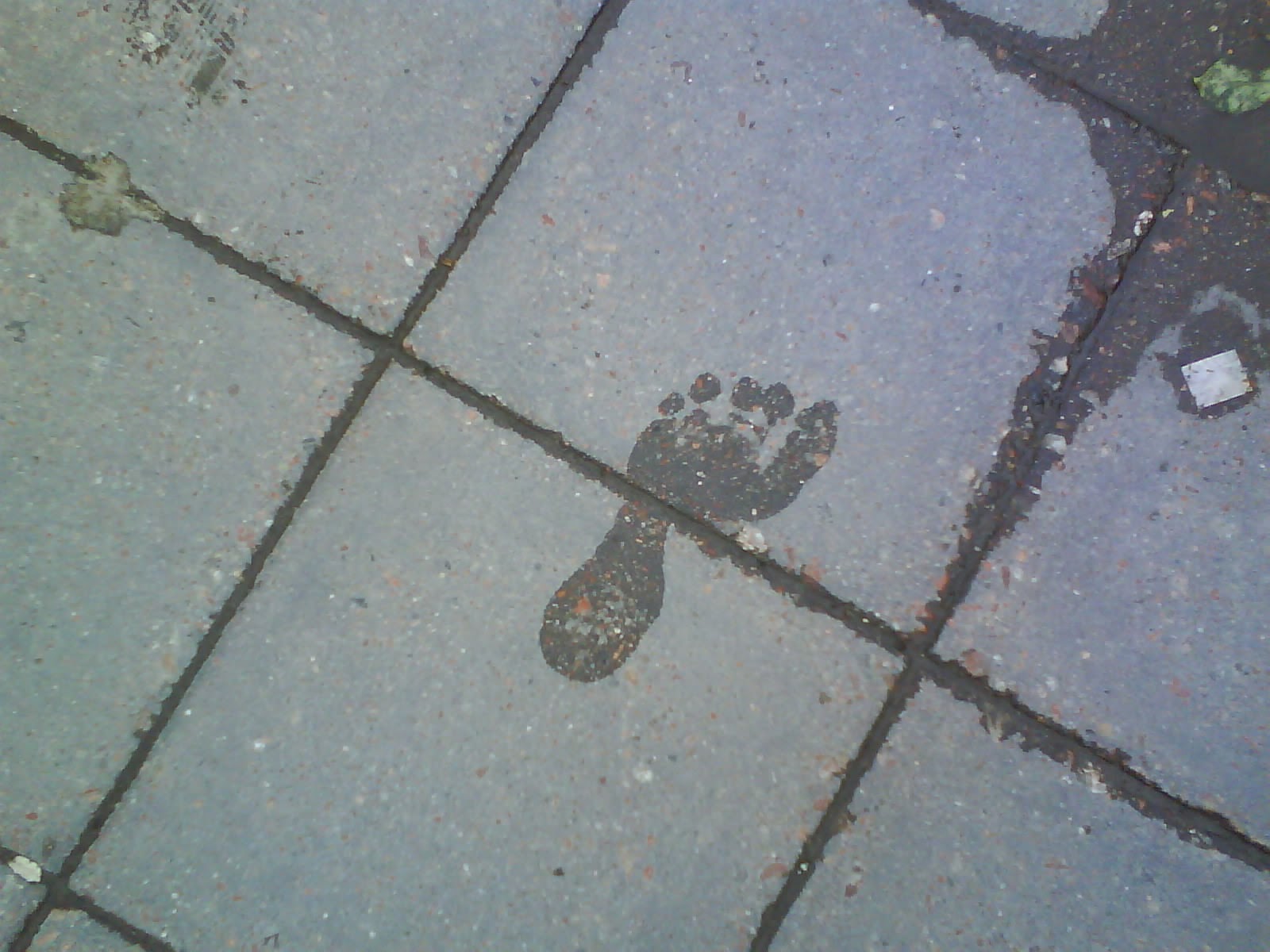 [DSC00064.JPG]