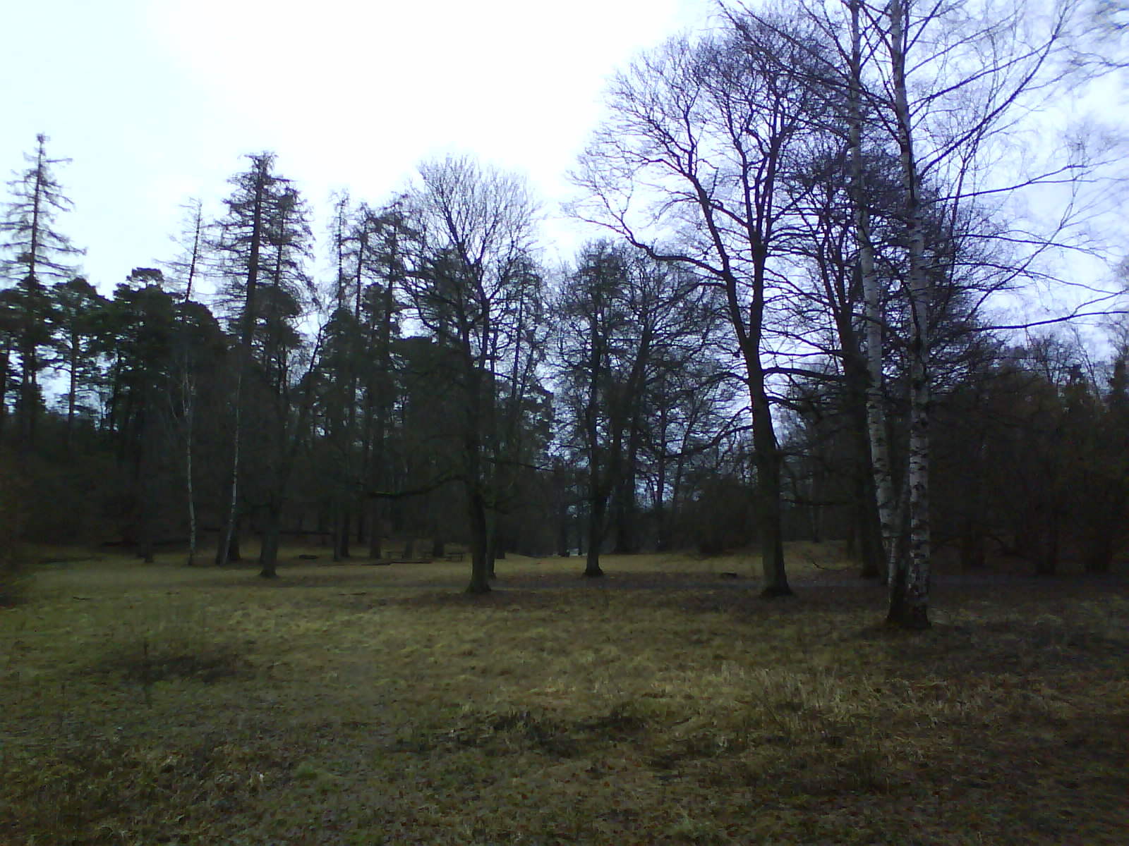 [DSC00081.JPG]