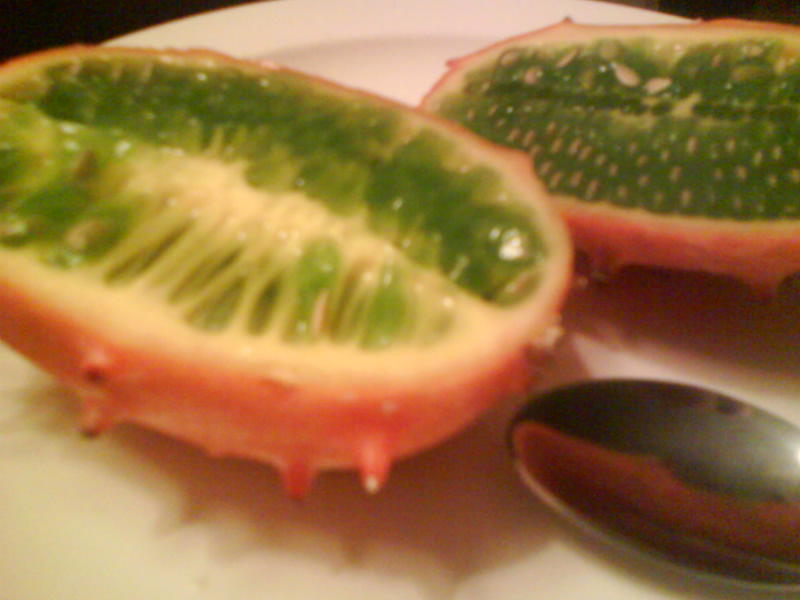 [image-upload-158-704336.jpg]
