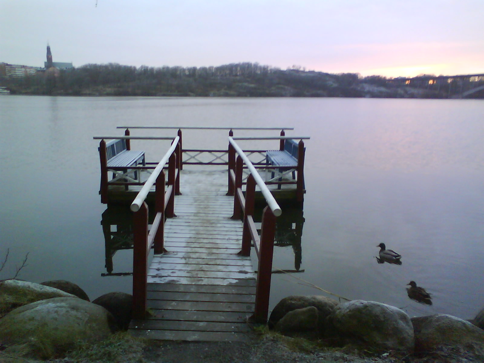 [DSC00479.JPG]