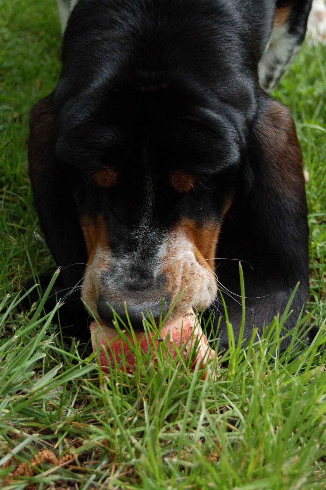[DSC_0563_rot.JPG]