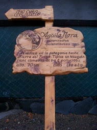 crteleria de escultura