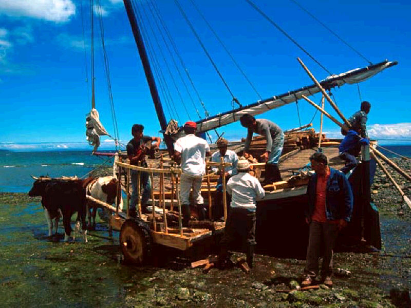 SOMOS O NO SOMOS CHILENOS El Chilote Marino