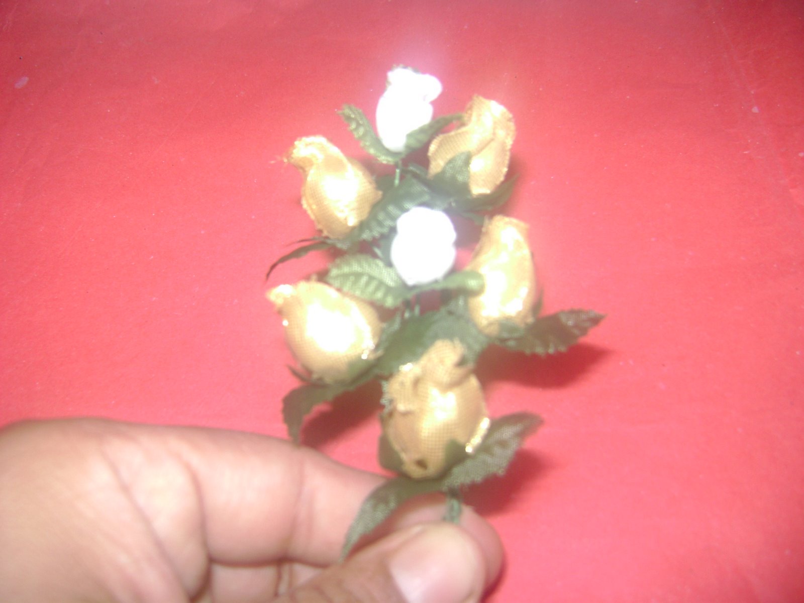 [DSC00021.JPG]