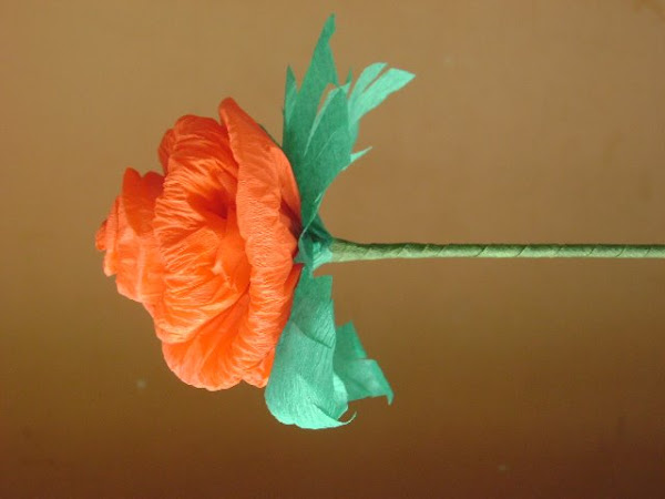 [DSC01693.JPG]
