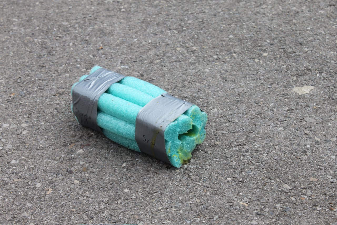 The Seal Bark Egg Drop