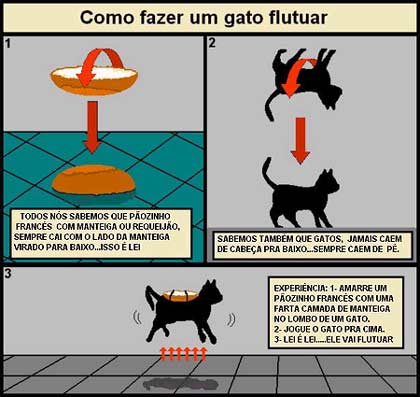 [gato+flutuador.jpg]