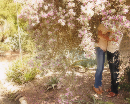 [geneticdenim_s20102.png]