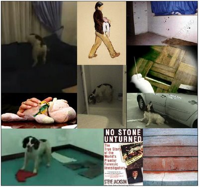 [evidence.jpg]