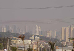 Queimadas em Uberaba