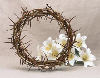 [crown+of+thorns.jpg]