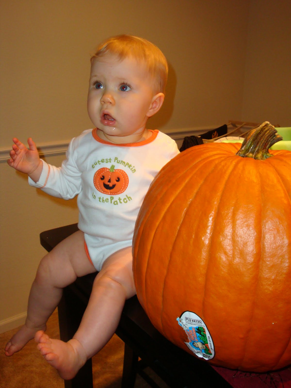 [Oct+009.JPG]