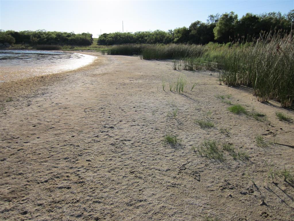 Here and There//Texas/New Mexico: Colorado City Lake State Park
